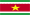 Surinamese basketball